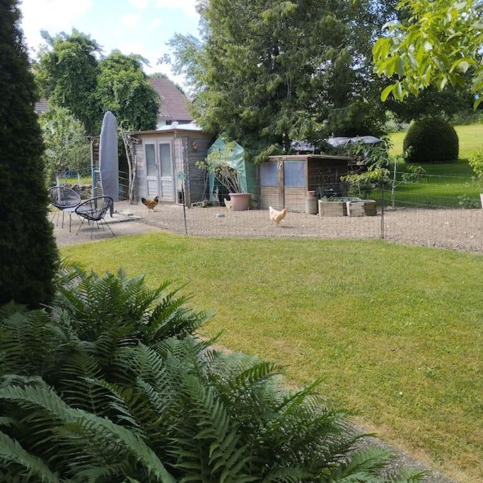 Zur Dicken Berta Apartment